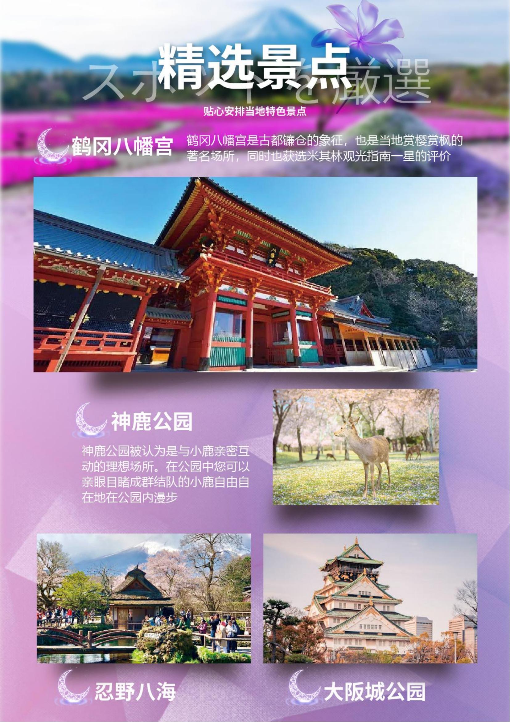 深圳往返（名名）【日本本州三古都芝櫻物語全景六日游】奈良神鹿公園、富士芝櫻園、江之島電車體驗、茶道體驗、淺草觀音寺、溫泉