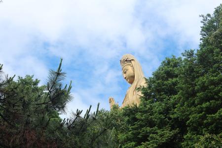 海天佛國普陀山、普濟寺、南海觀音 三天雙飛朝圣之旅PT-01